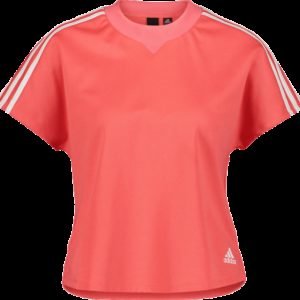 Adidas Atteetude Tee Paita