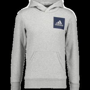 Adidas Ess Logo Po Hood Huppari