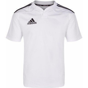 Adidas Men Tee G70034