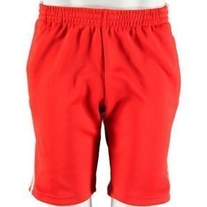 Adidas Sst Shorts Shortsit