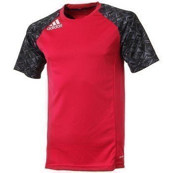 Adidas T-shirt Pre Cl Tee D79984 lyhythihainen t-paita