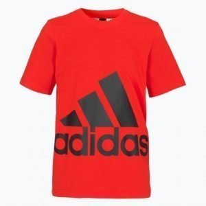 Adidas Yb Big Logo Tee T-Paita