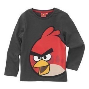 Angry Birds T-paita Tummanharmaa