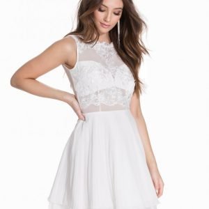 Ax Paris Sleeveless Lace Skater Dress Skater Mekko Cream