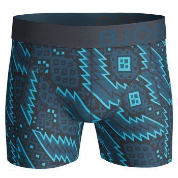 Björn Borg Shorts BB Nordic