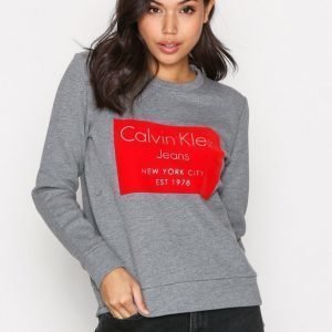 Calvin Klein Jeans Hansi Cn Hwk L / S Svetari Grey