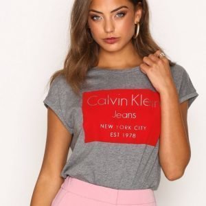 Calvin Klein Jeans Tika-22 Cn Lwk S / S T-Paita Grey