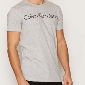Calvin Klein Jeans Treasure CN Tee S/S T-paita Light Grey
