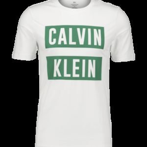 Calvin Klein Logo Ss Tee T-Paita