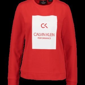 Calvin Klein Pullover Crew Collegepaita