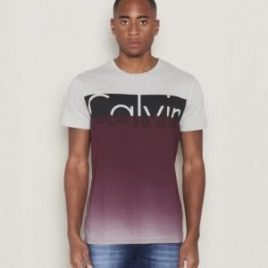 Calvin Klein Tazar 2 Tee 038 Grey