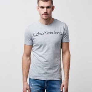 Calvin Klein Treasure 038 Light Grey