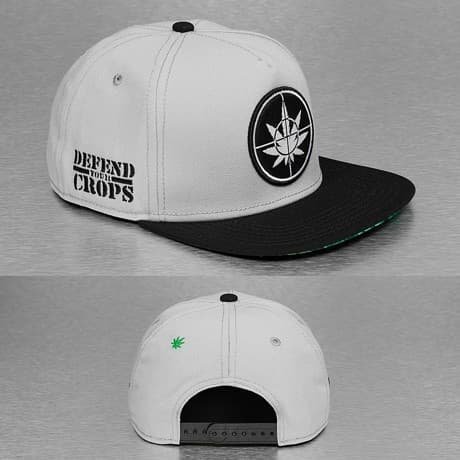 Cayler & Sons Snapback Lippis Harmaa