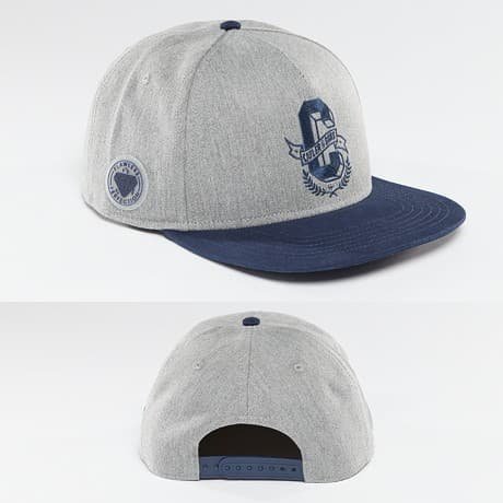 Cayler & Sons Snapback Lippis Harmaa