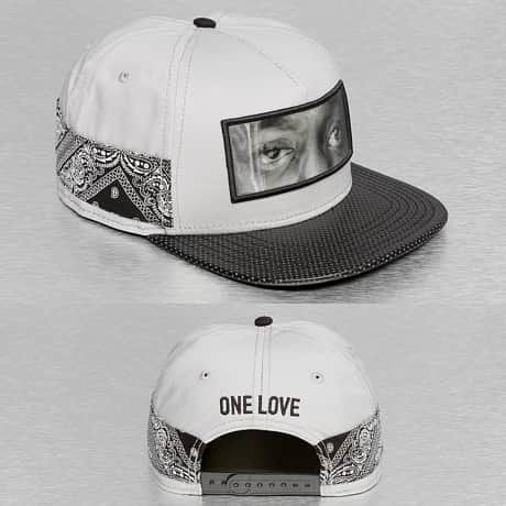 Cayler & Sons Snapback Lippis Harmaa