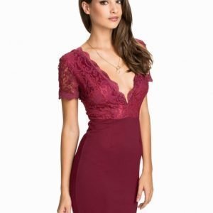 Club L Scallop Lace Bodycon