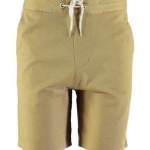 Colour Wear Great Shorts Shortsit