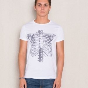 Dead Legacy Ribcage White