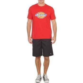 Dickies 13 MULTI POCKET bermuda shortsit