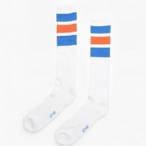 Dickies Atlantic City 3-pack Socks