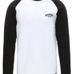 Dickies 'Baseball' T-paita