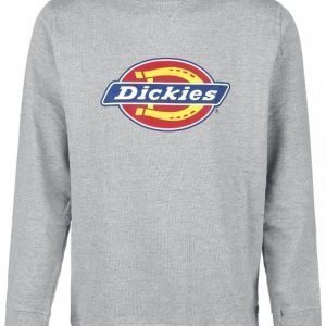 Dickies Harrison Svetari