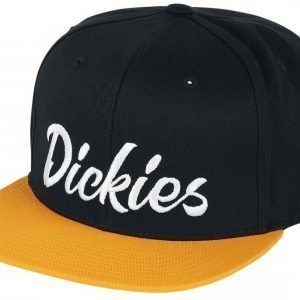 Dickies Pantego Snapback Lippis