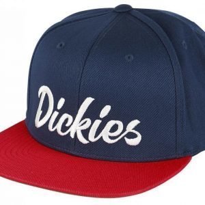 Dickies Pantego Snapback Lippis