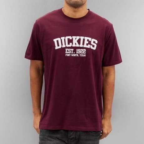 Dickies T-paita Punainen