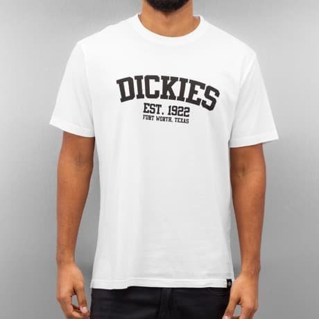 Dickies T-paita Valkoinen