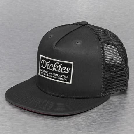 Dickies Verkkolippis Harmaa