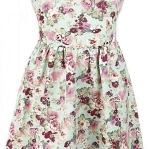 Dolly And Dotty Cindy Sassy Floral Swing Vintage Dress Mekko