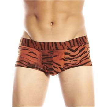 Doreanse  Djungle Roar Boxer Tiger