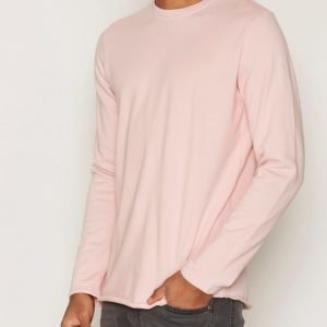 Edwin Terry TS LS Pusero Pink