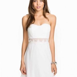 Elise Ryan Bandeau Waist Lace Trim Skater Dress