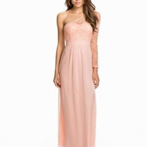 Elise Ryan One Shoulder Lace Sleeve Chiffon Maxi Dress