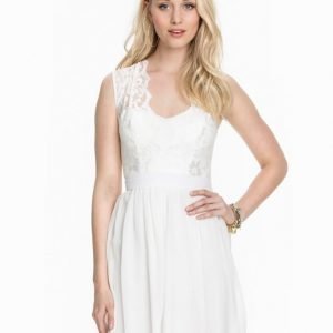 Elise Ryan Scalloped Lace Chiffon Dress