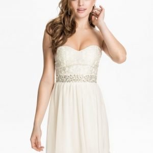 Elise Ryan Silver Lace Bandeau Dress