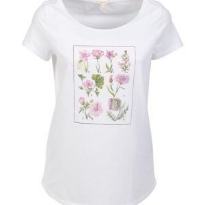 Esprit T-Paita