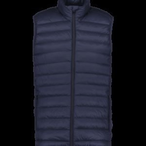 Everest Liner Vest Liivi