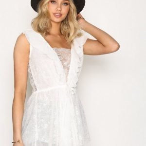 For Love & Lemons Stardust Lace Dress Skater Mekko White