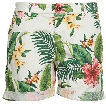 Franklin & Marshall PALAWA bermuda shortsit