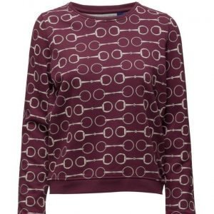 GANT O2. Bridle Printed C-Neck Sweat svetari