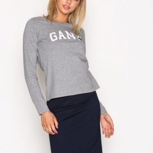 Gant Logo T-Shirt Ls Pitkähihainen Paita Grey Melange