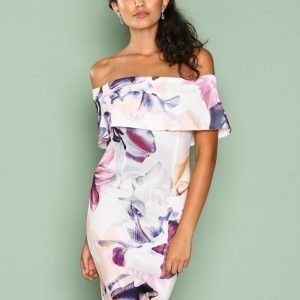 Ginger Fizz Floral Paradise Dress Kotelomekko White / Floral