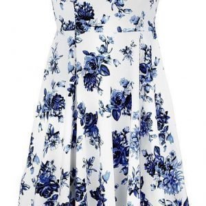 H&R London Blue Rosaceae Swing Dress Mekko