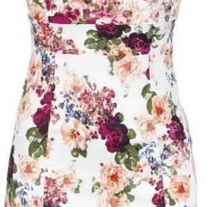 H&R London Vintage Rose Dress Mekko