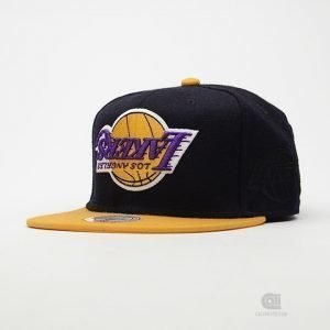 Hall of Fame Upside Down Snapback