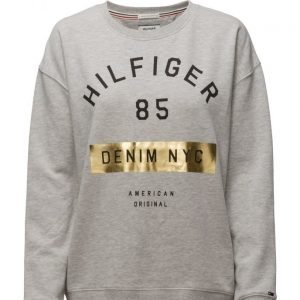 Hilfiger Denim Thdw Basic Graphic Cn Hknit L/S 10 svetari