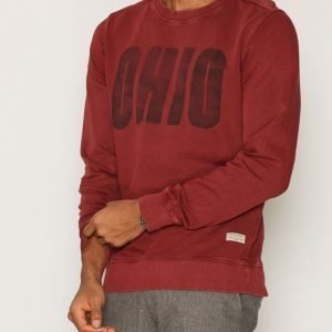 Jack & Jones Jjvwashed Sweat Crew Neck Pusero Wine